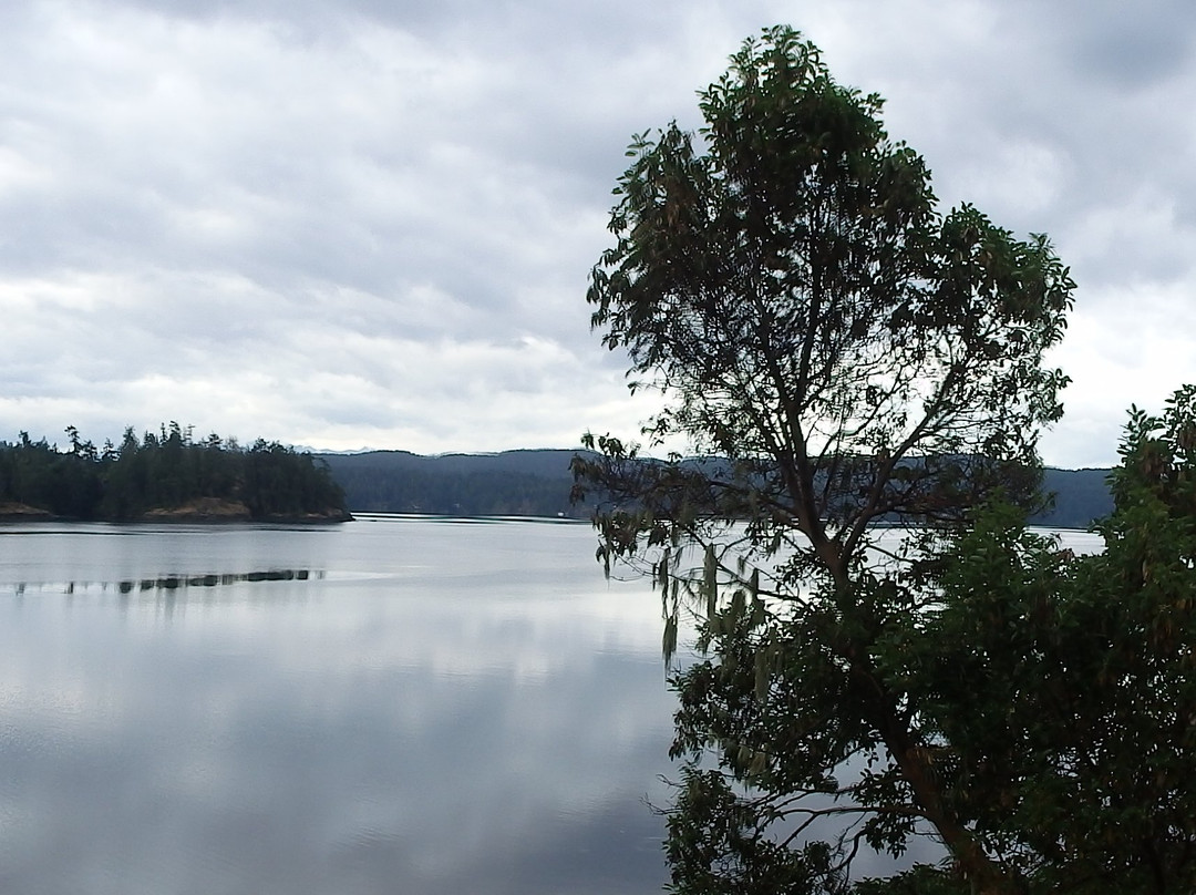 Arbutus Cove Guesthouse主图
