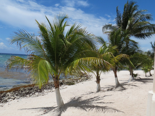 Paamul Beach-Paamul必去景点