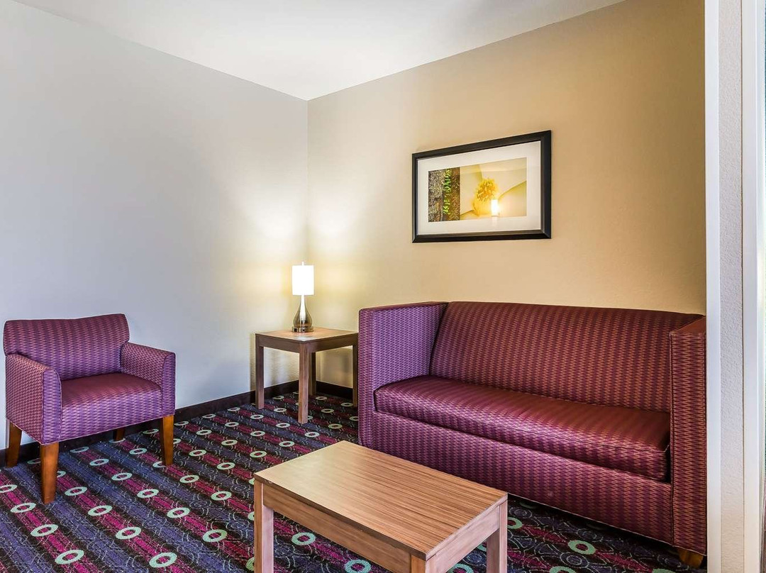 Comfort Inn & Suites Newcastle - Oklahoma City主图