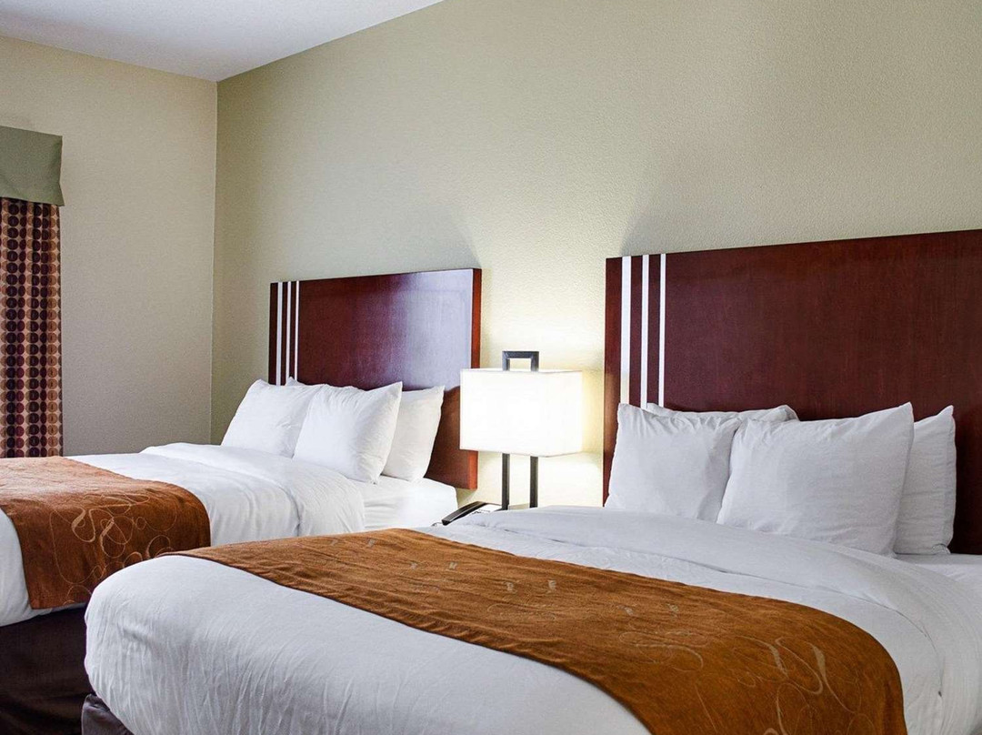 Comfort Suites Greenwood主图