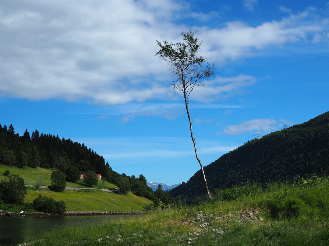 Gone Paddling-Balestrand必去景点