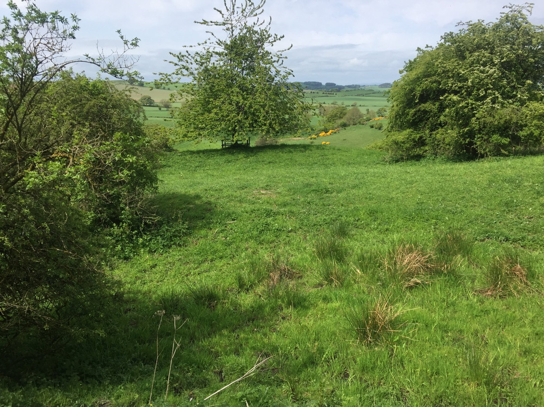 Fleecefaulds Meadow