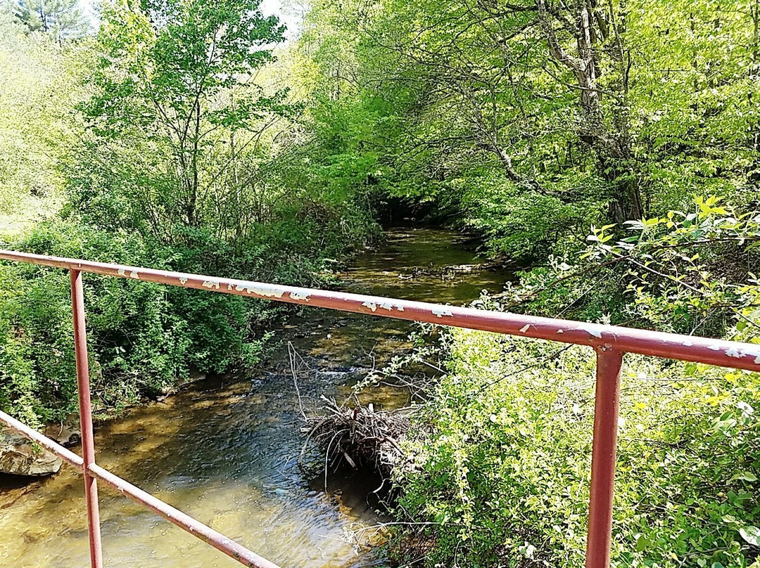 Beaver Dam Creek Walking Trail景点图片