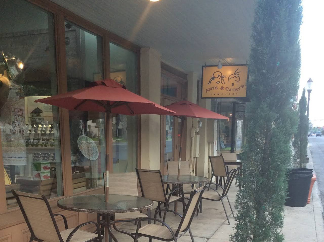 塞金餐馆和美食-Amy's and Cathy's Takeout