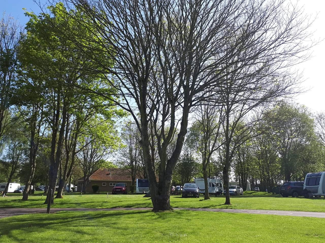 Rowan Park Caravan and Motorhome Club Campsite
