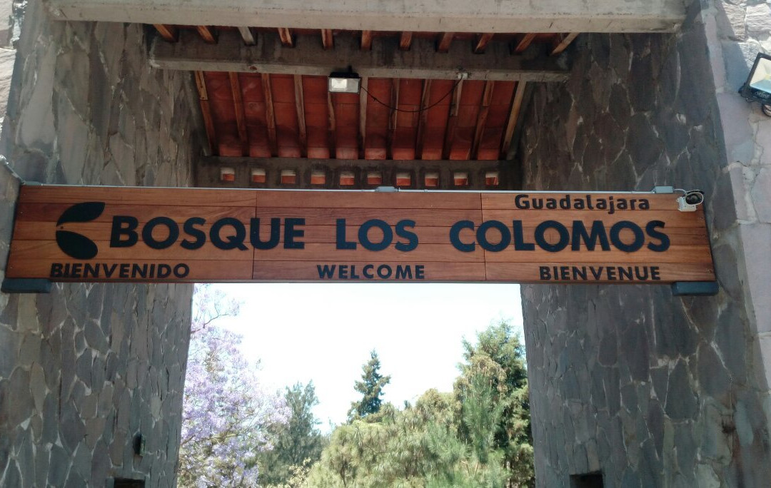 Bosque Los Colomos景点图片