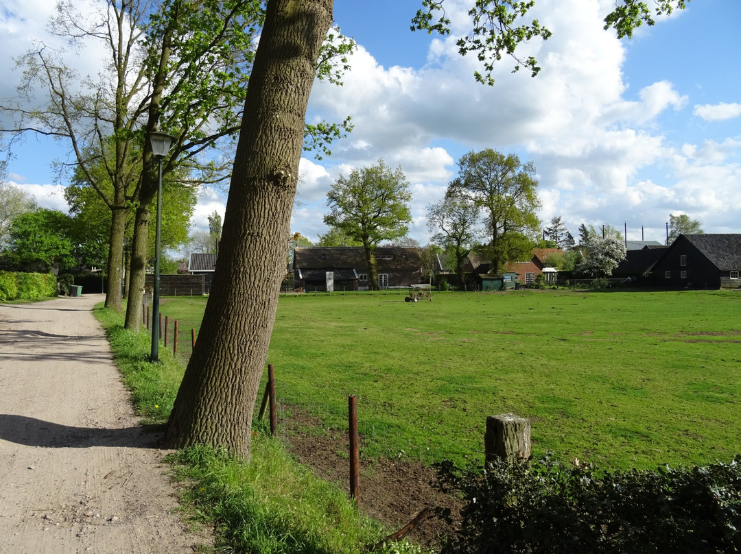 Gallery De Vlierhove-Blaricum必去景点