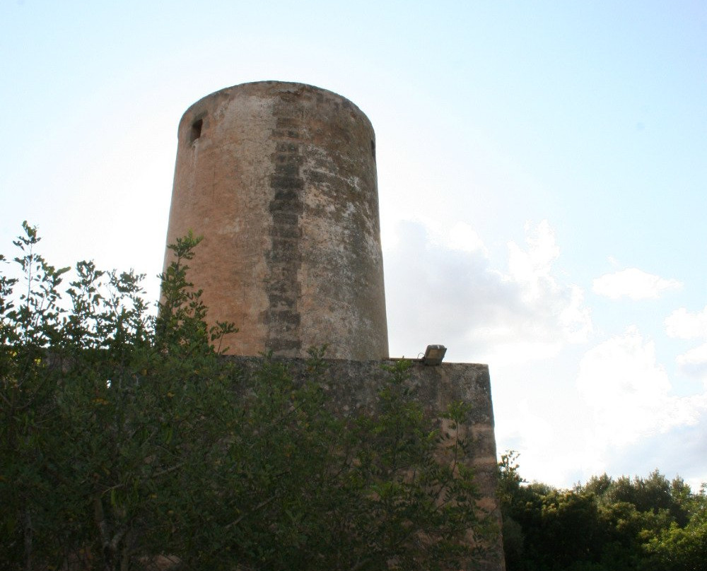 Museu del Fang de Marratxi景点图片