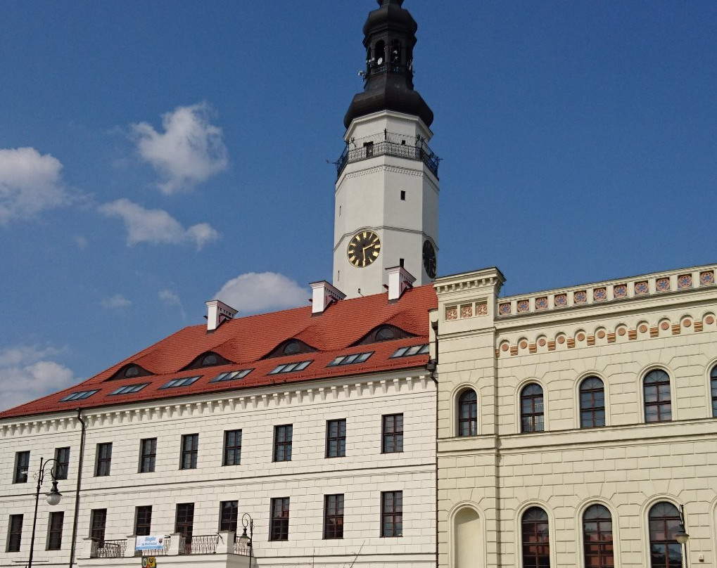 Wieża Ratuszowa景点图片