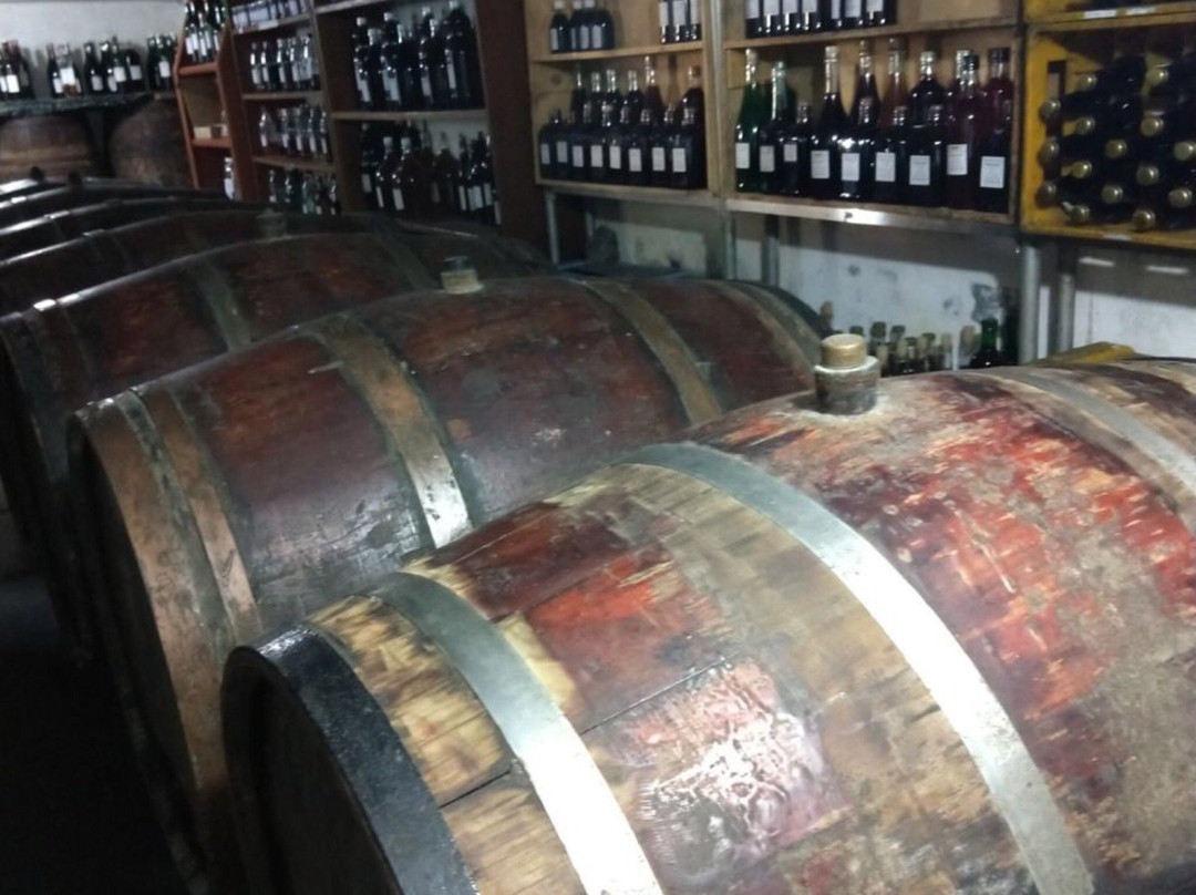 Araras旅游景点-Vinhos e Licores Maiworm