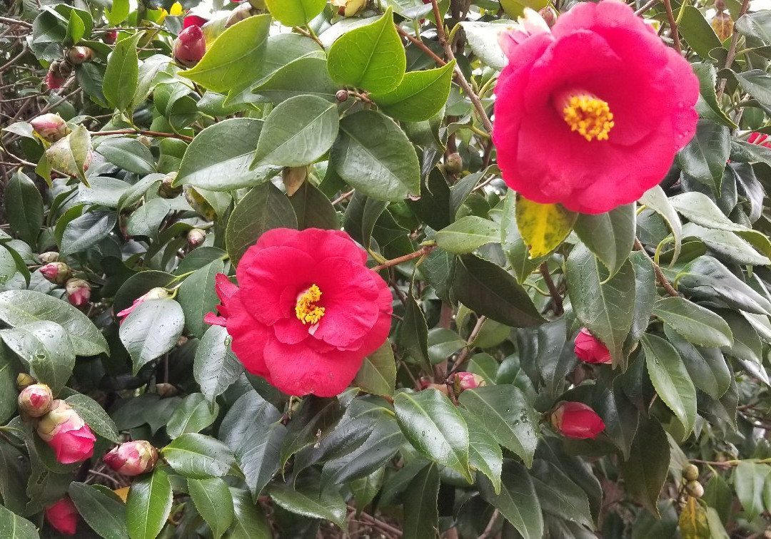 Jangboksan-昌原市必去景点