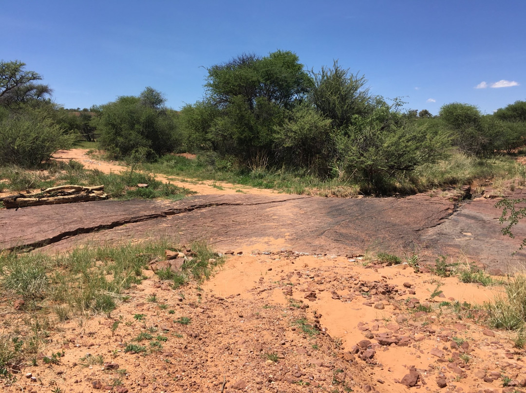 Dinosaur Tracks - National Monument NAMIBIA景点图片