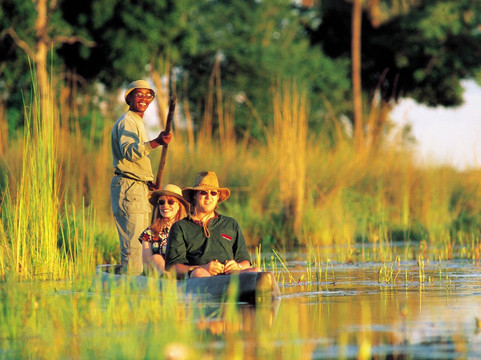 Chameleon Holidays and Travel