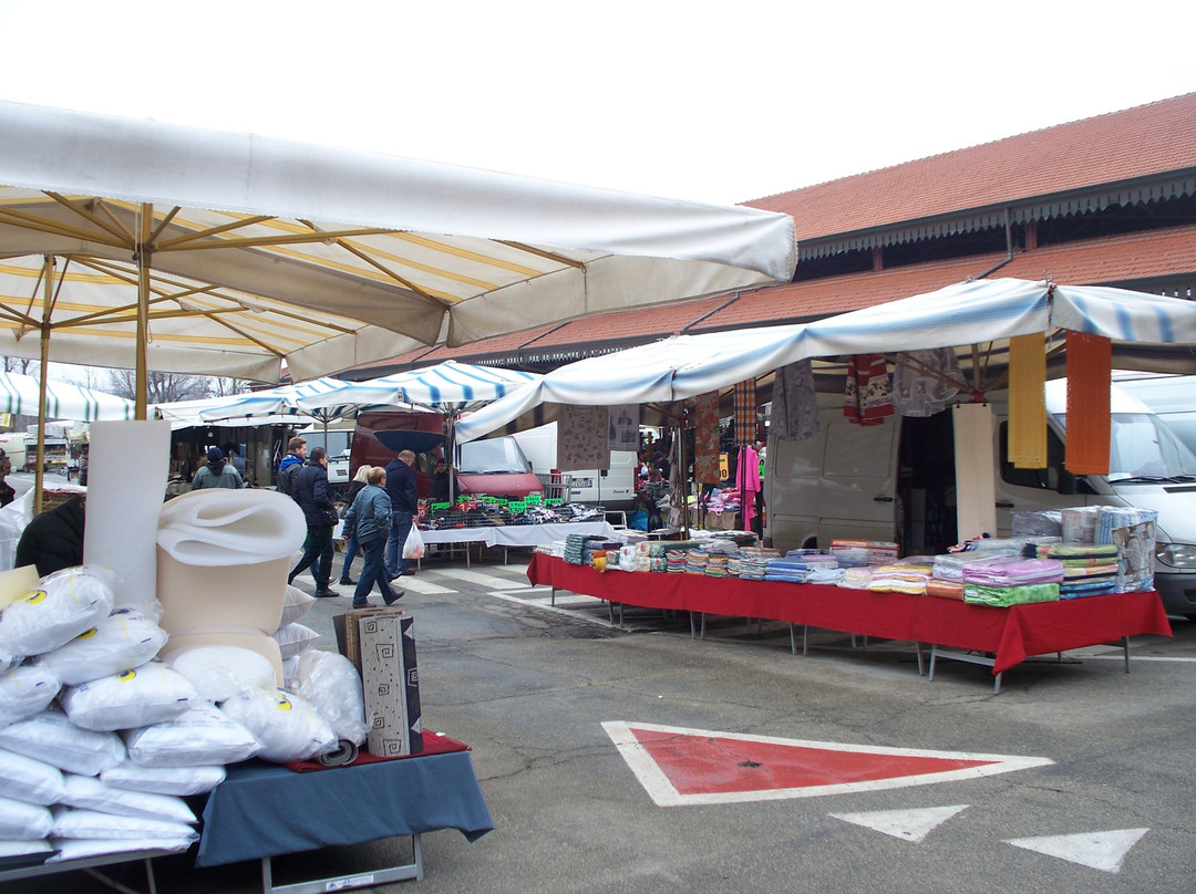 Mercato Ambulante 2.0-阿尔巴必去景点