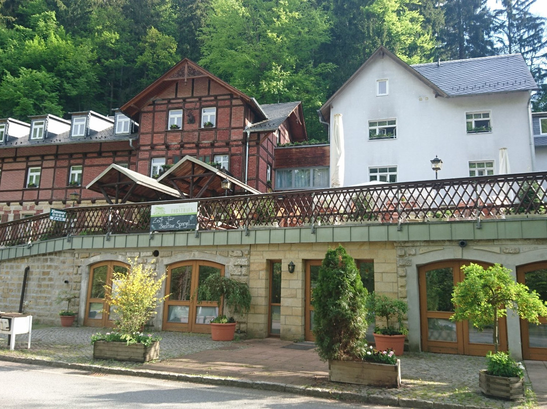 Forsthaus Hotel主图