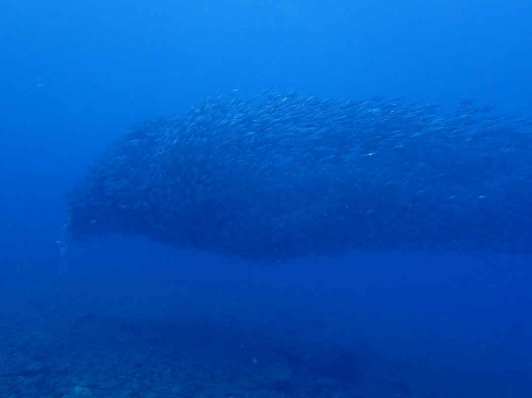 Lau Lau Beach-塞班岛必去景点