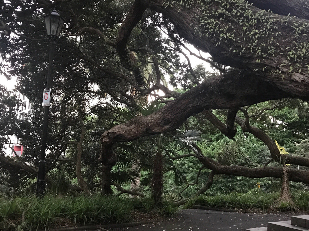 Emily Place Reserve-奥克兰中心地区必去景点