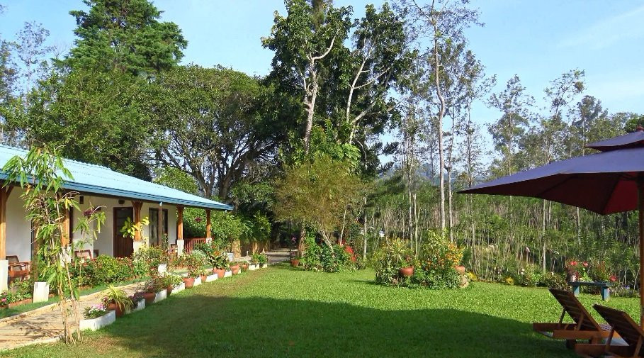 锡兰茶酒店主图