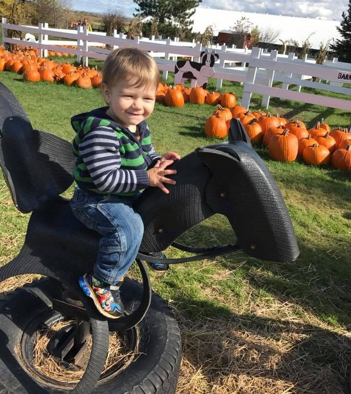 Gammondale Farm-Slate River Valley必去景点