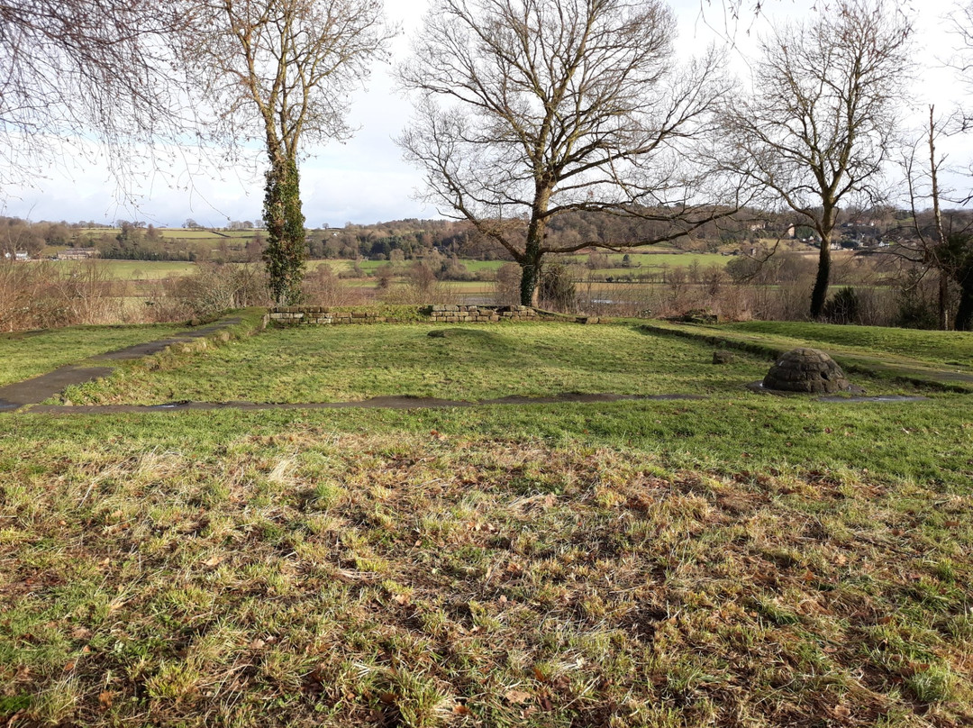 Duffield Castle景点图片