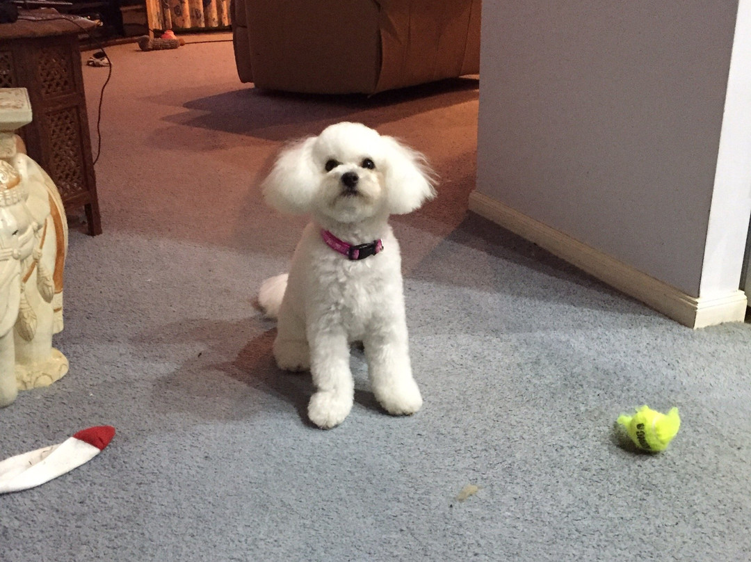 Coatesville Lodge主图