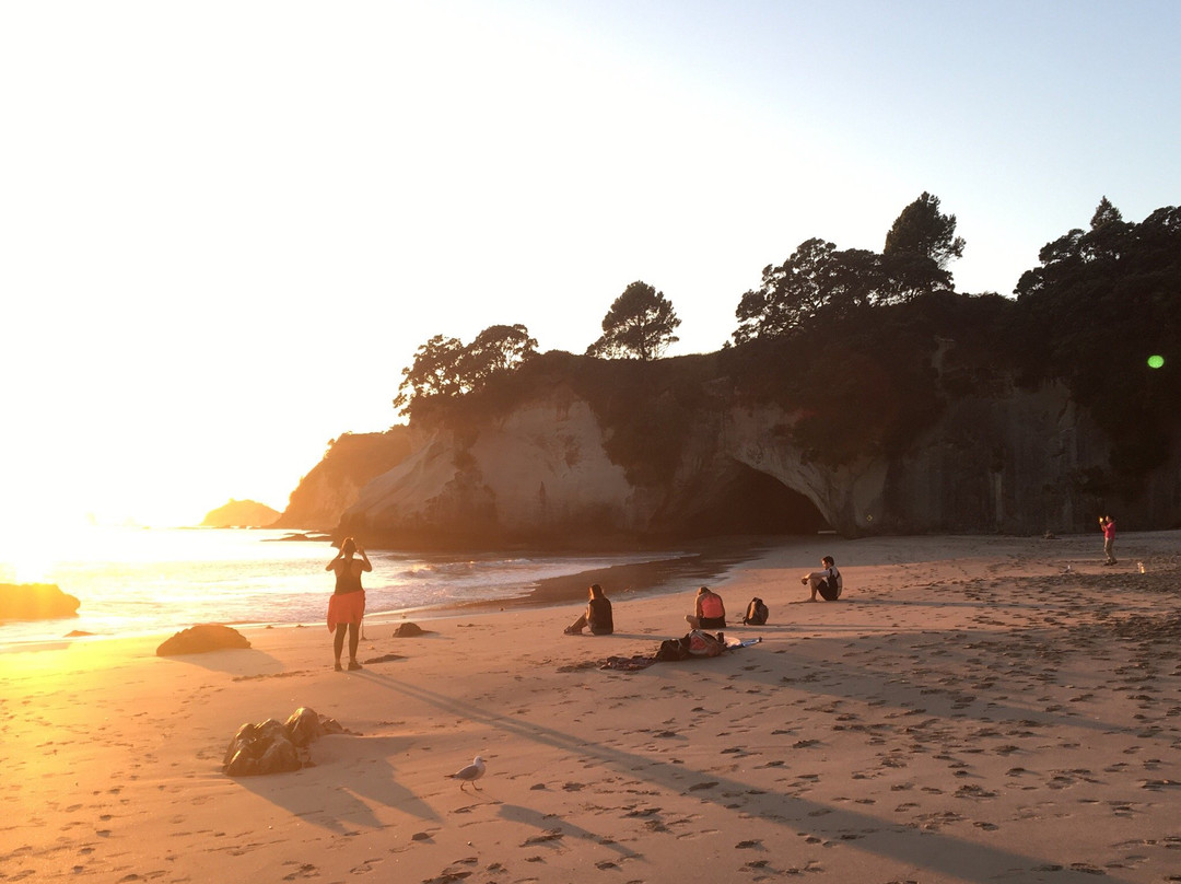 Within The Bays主图