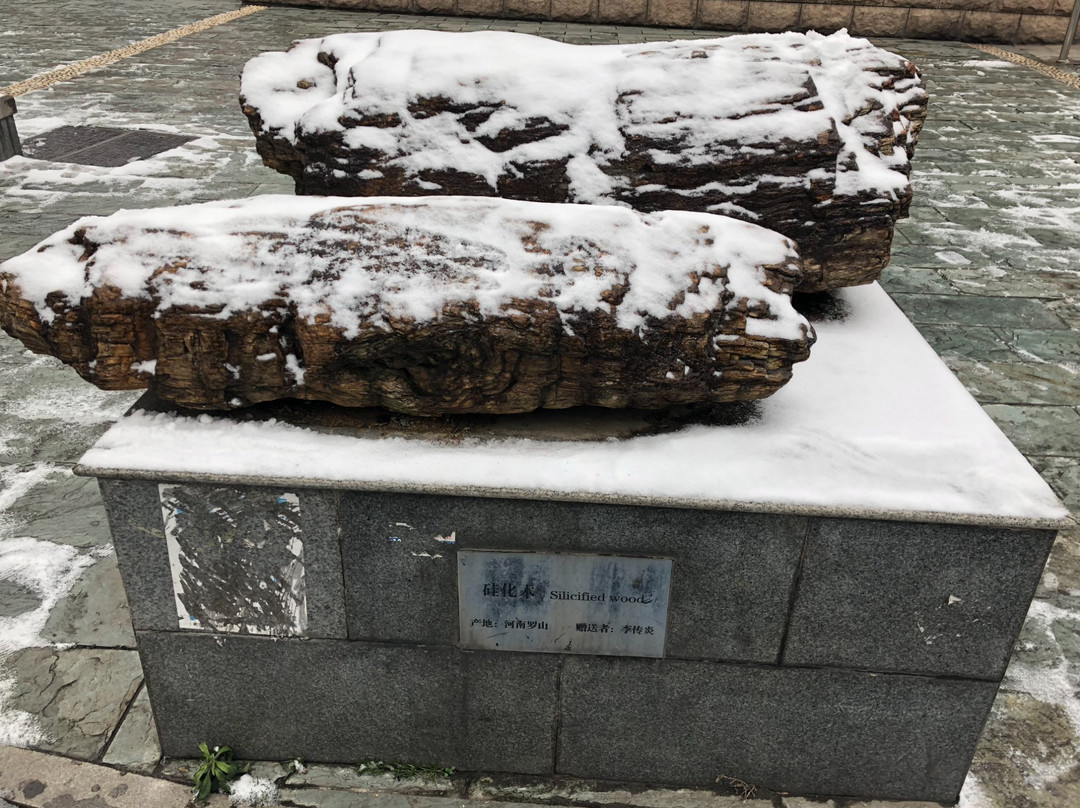 中国地质大学博物馆-武汉市必去景点