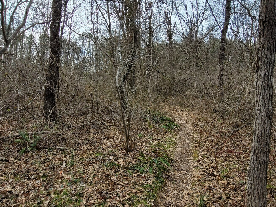 Patuxent River State Park