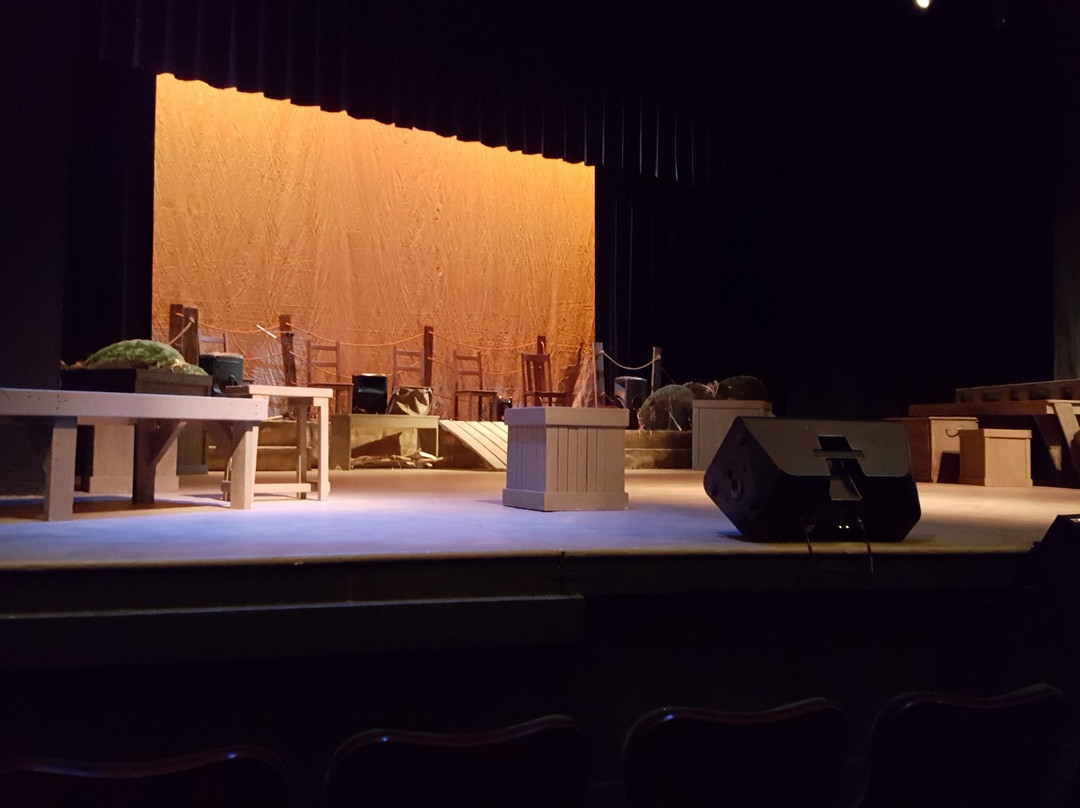 Rochester Civic Theatre-罗切斯特必去景点