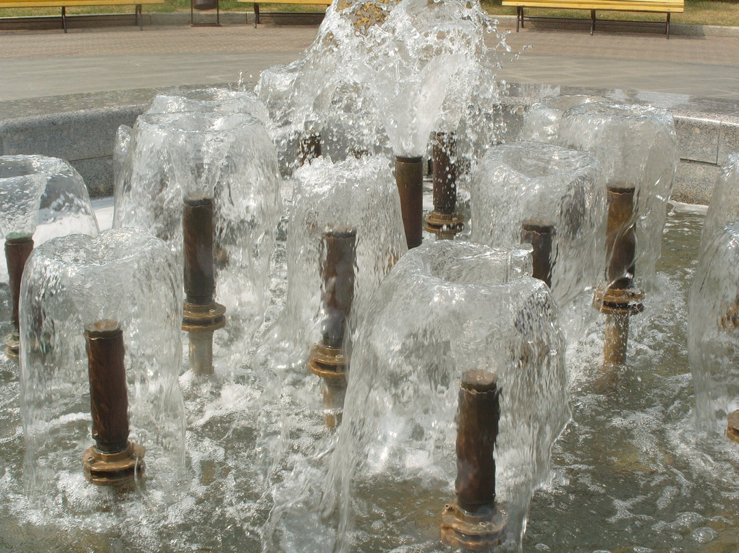 Fountain at the Congress Hall景点图片