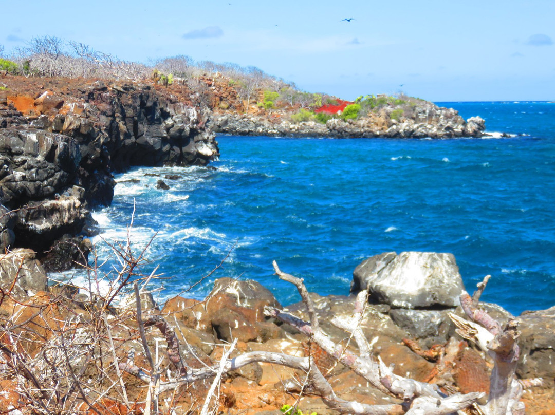 Baltra旅游攻略图片