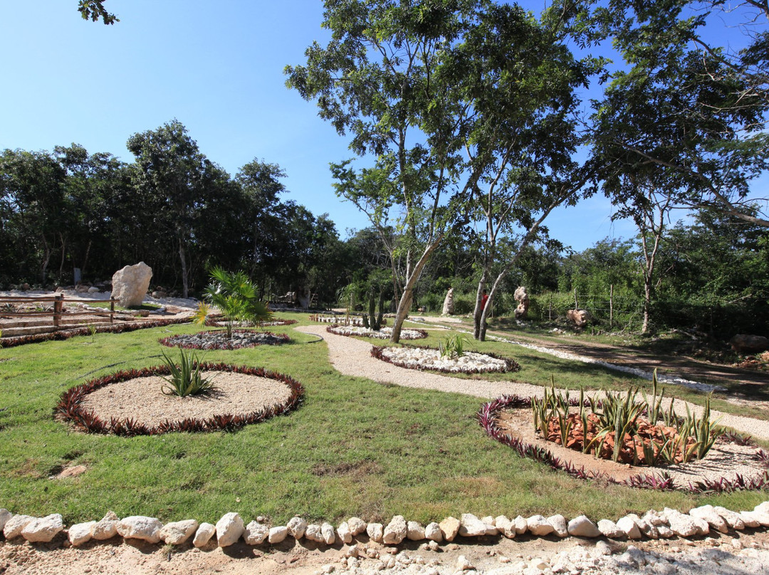 Cenote Wolpoch-Homun必去景点