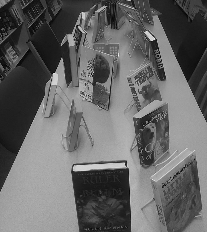 Book and CD Hut景点图片