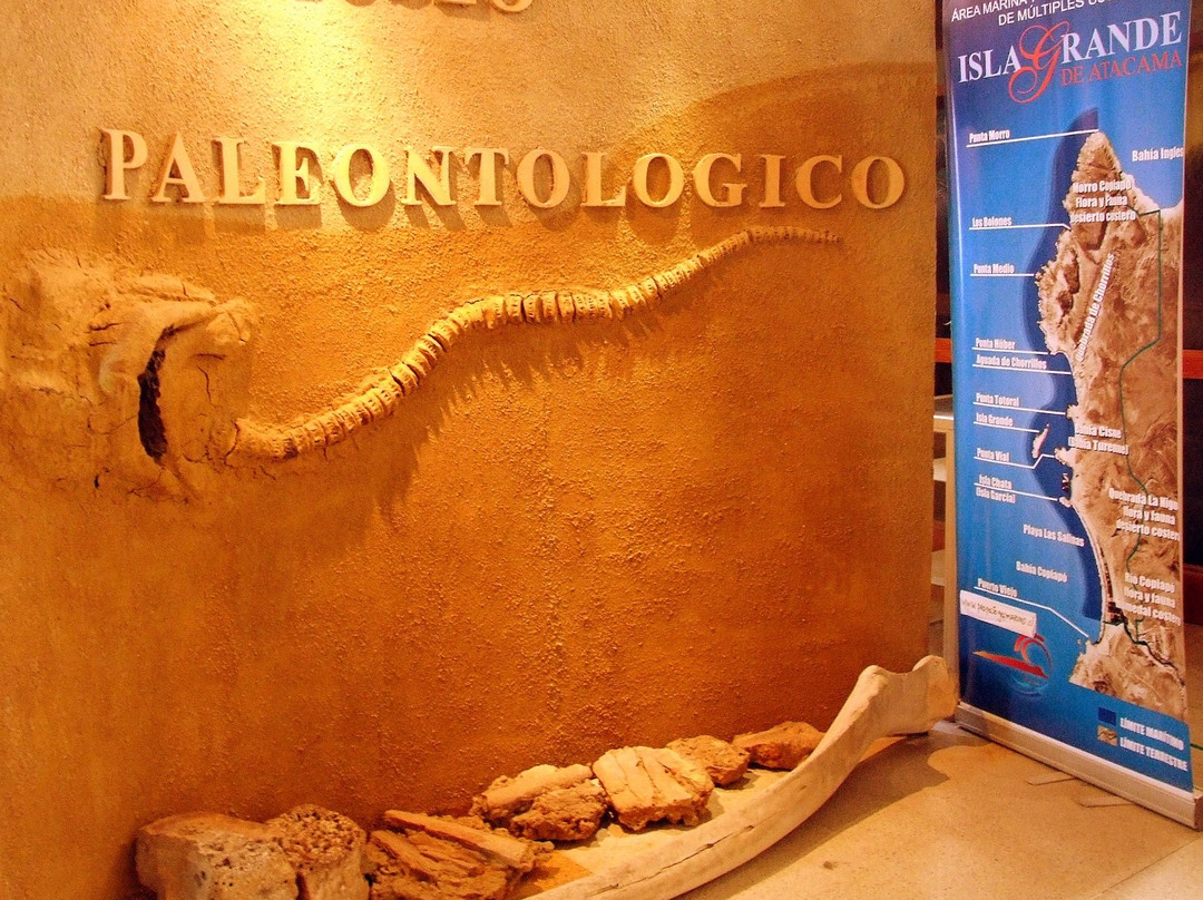 Bahia Inglesa旅游景点-Centro Cultural Estacion Caldera