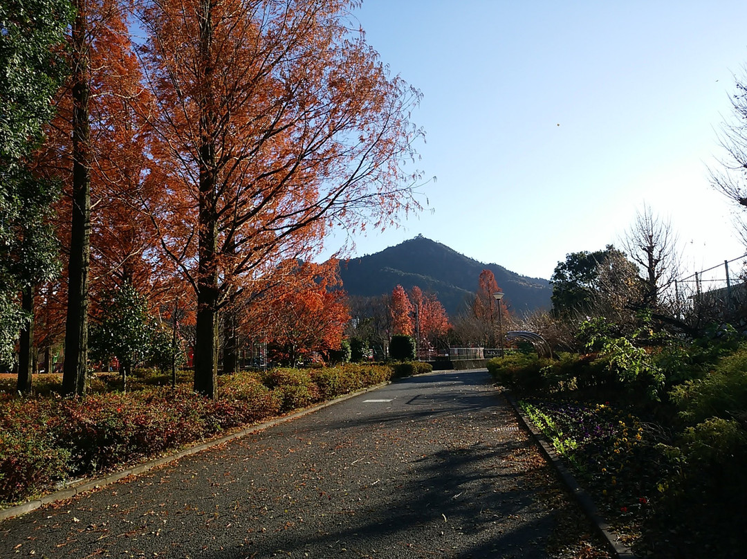 Nagara Park-岐阜市必去景点