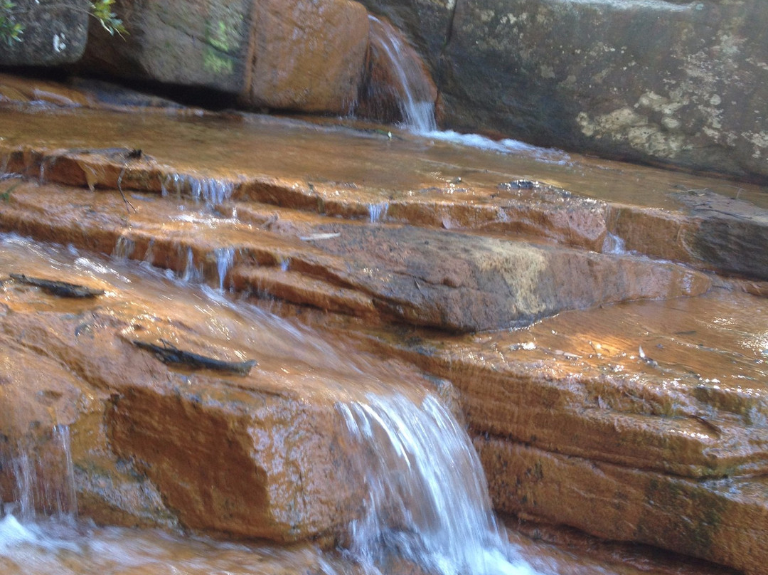 Kellys Falls Track-海伦斯堡必去景点