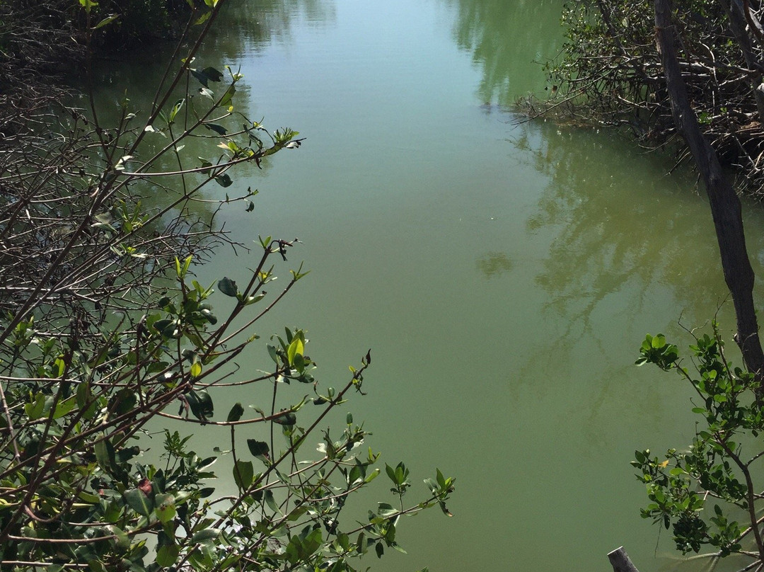 Oceanfront Park-马拉松必去景点
