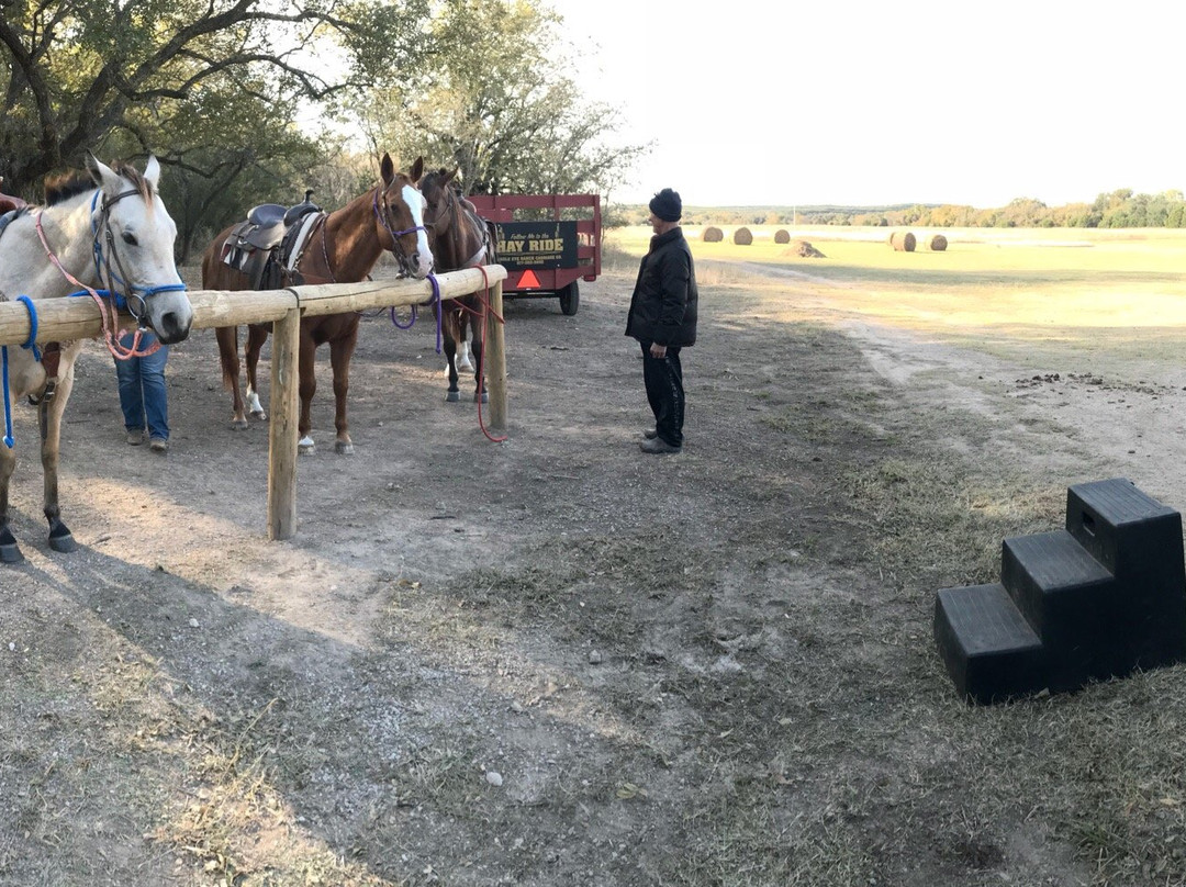 Eagle Eye Ranch Carriage Company-Glen Rose必去景点