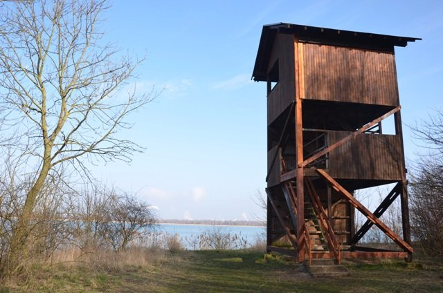 Europäisches Vogelreservat Heerter See-萨尔茨基特必去景点