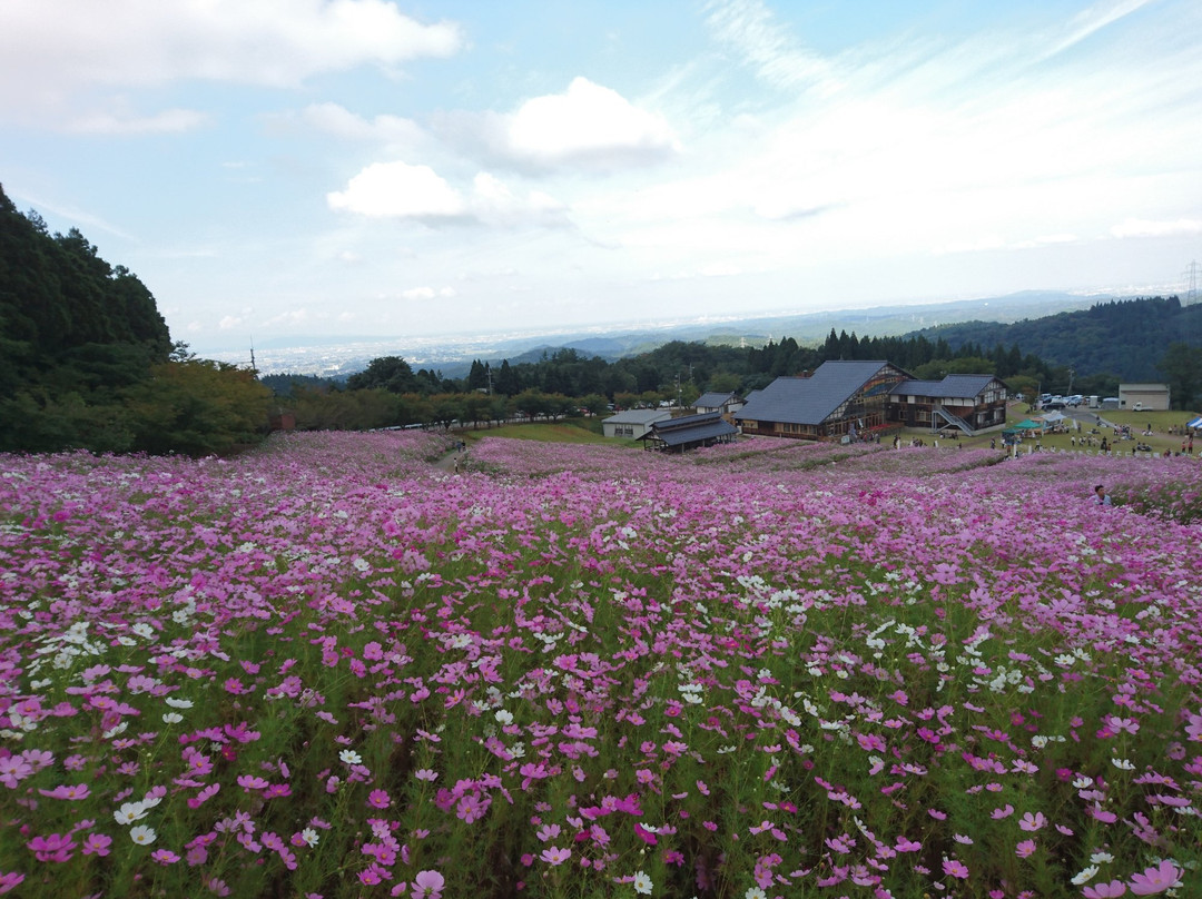 Yumenotaira Ski Resort景点图片