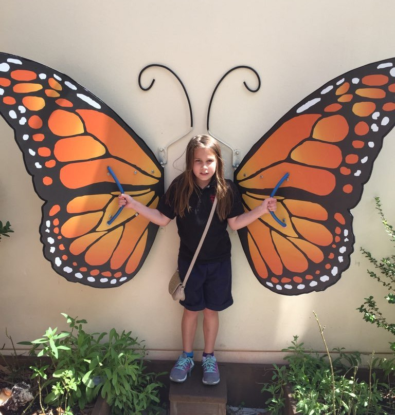 Children's Science Explorium-博卡拉顿必去景点