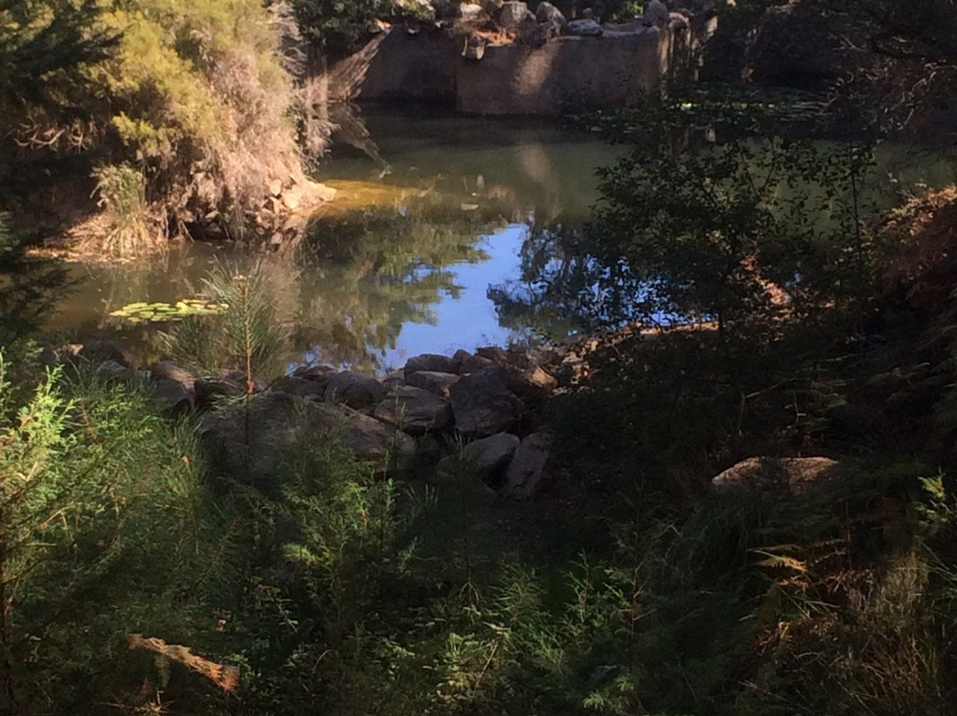 Sintra Mountains景点图片