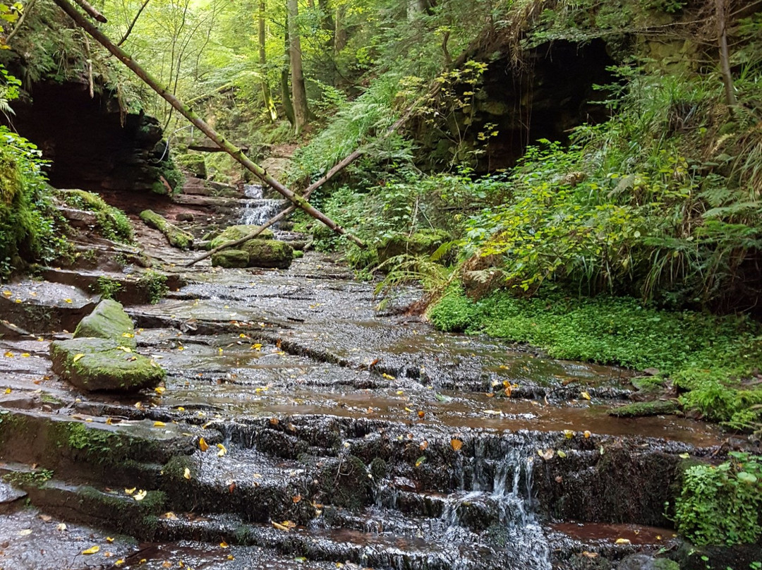 Wolfsschlucht-Zwingenberg必去景点