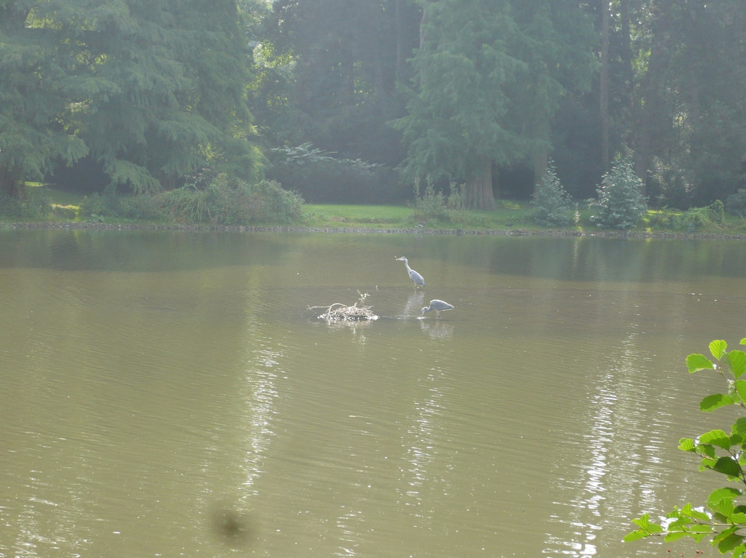 Schönwasserpark-克雷菲尔德必去景点