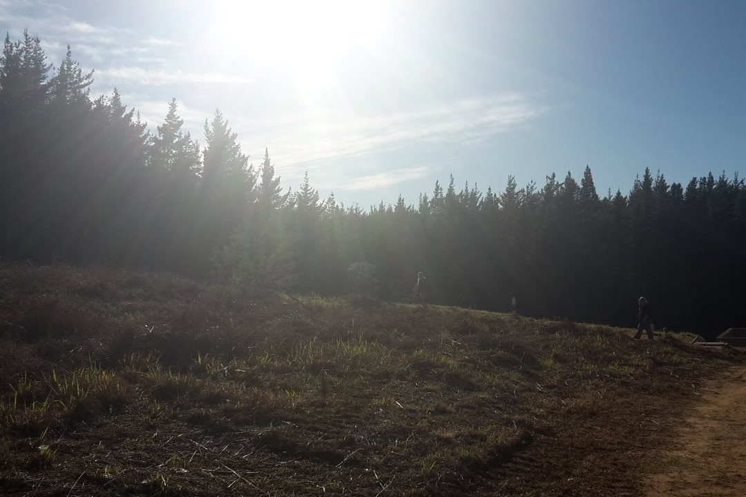 Mountain Trails B&B主图