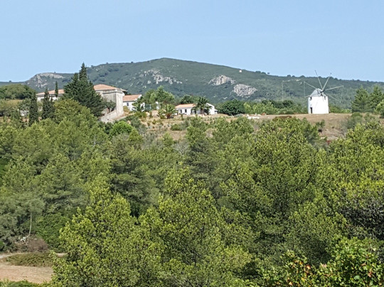 Pexitos - Sesimbra Tours & Experiences-塞新布拉必去景点