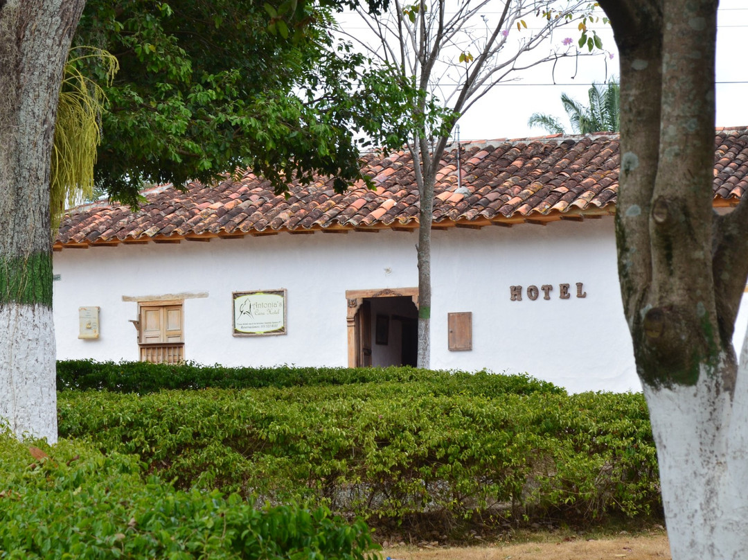 Antonia's CasaHotel主图