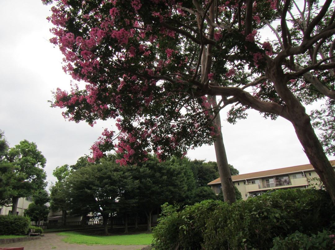 Okada Ruins-寒川町必去景点