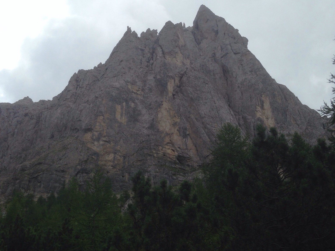Palaronda Trek景点图片