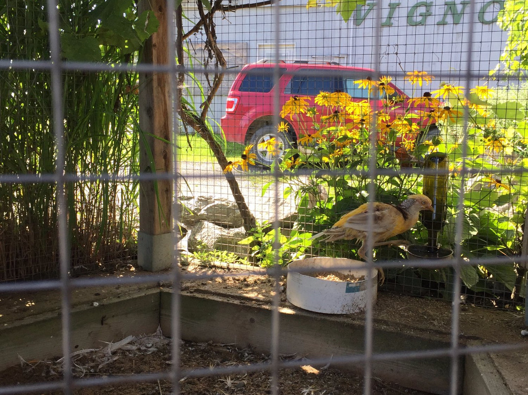 Vignoble de la Bauge  -Brigham必去景点